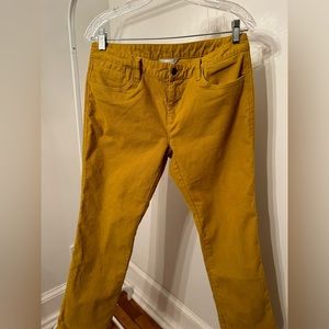 Garnet Hill petite cropped corduroy mustard pants.